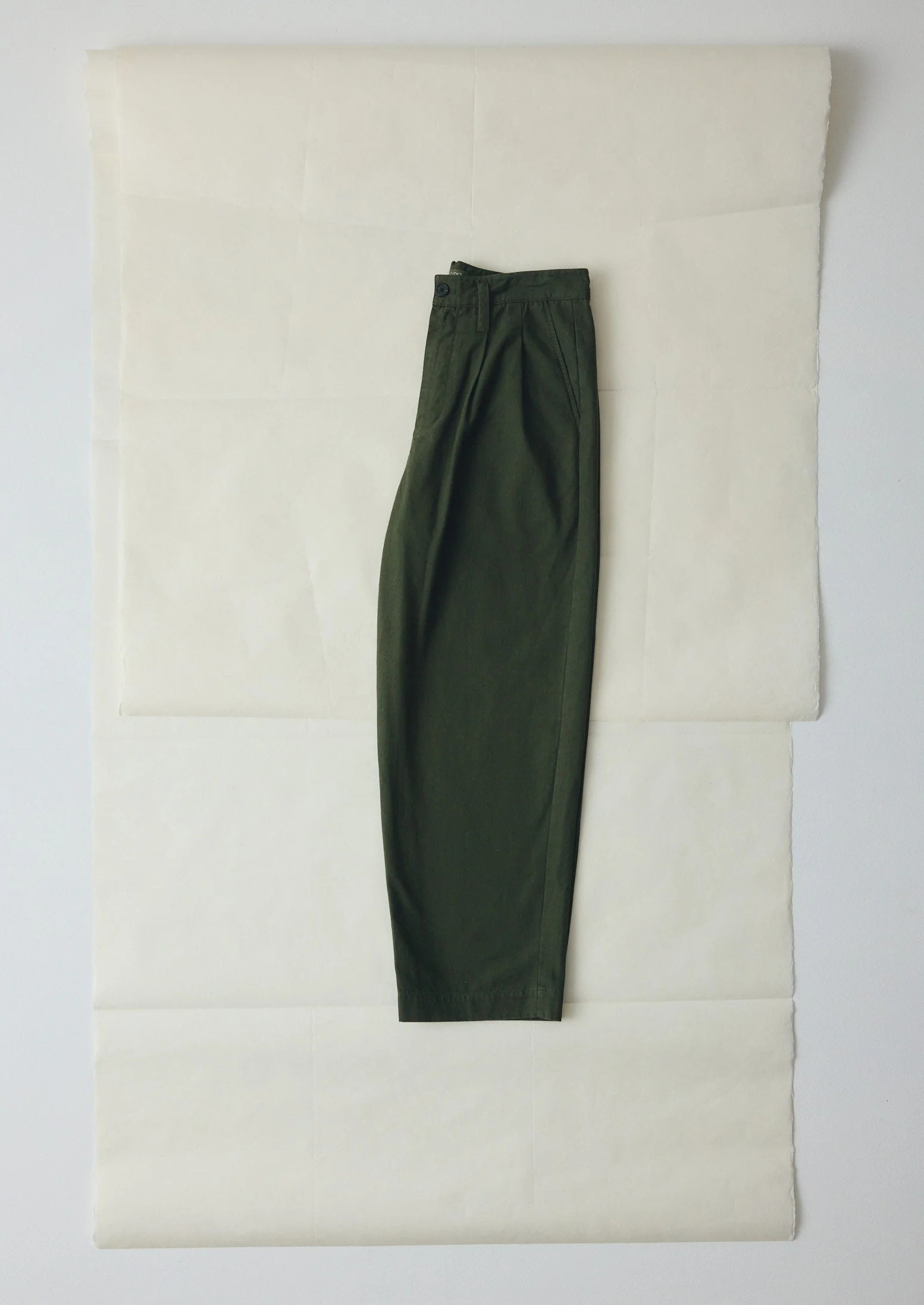 Bill Cotton Canvas Wide Leg Pants | Kale - Image 6