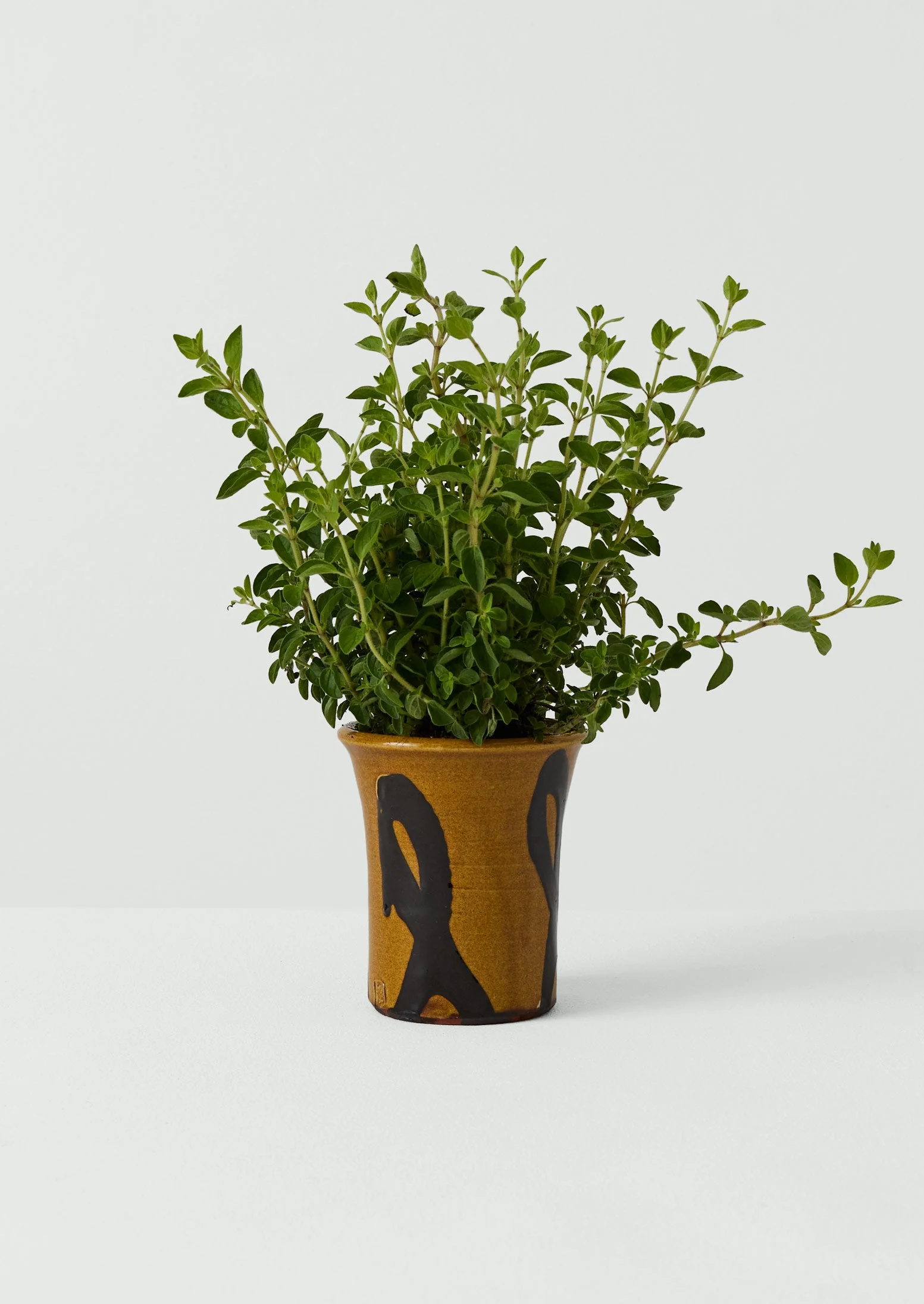Hoxton Gardenware Small Slipware Planter | Honey - Image 3
