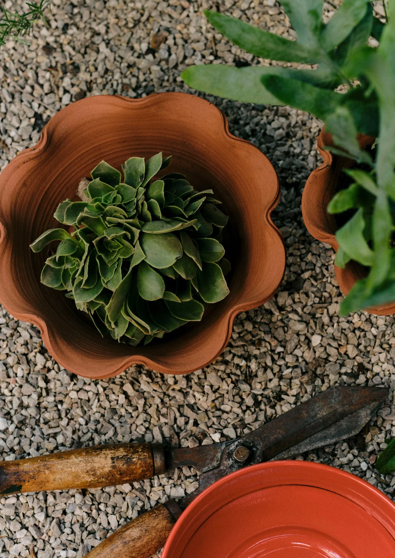 Willow Pottery Herb Pot | Terracotta - Image 2