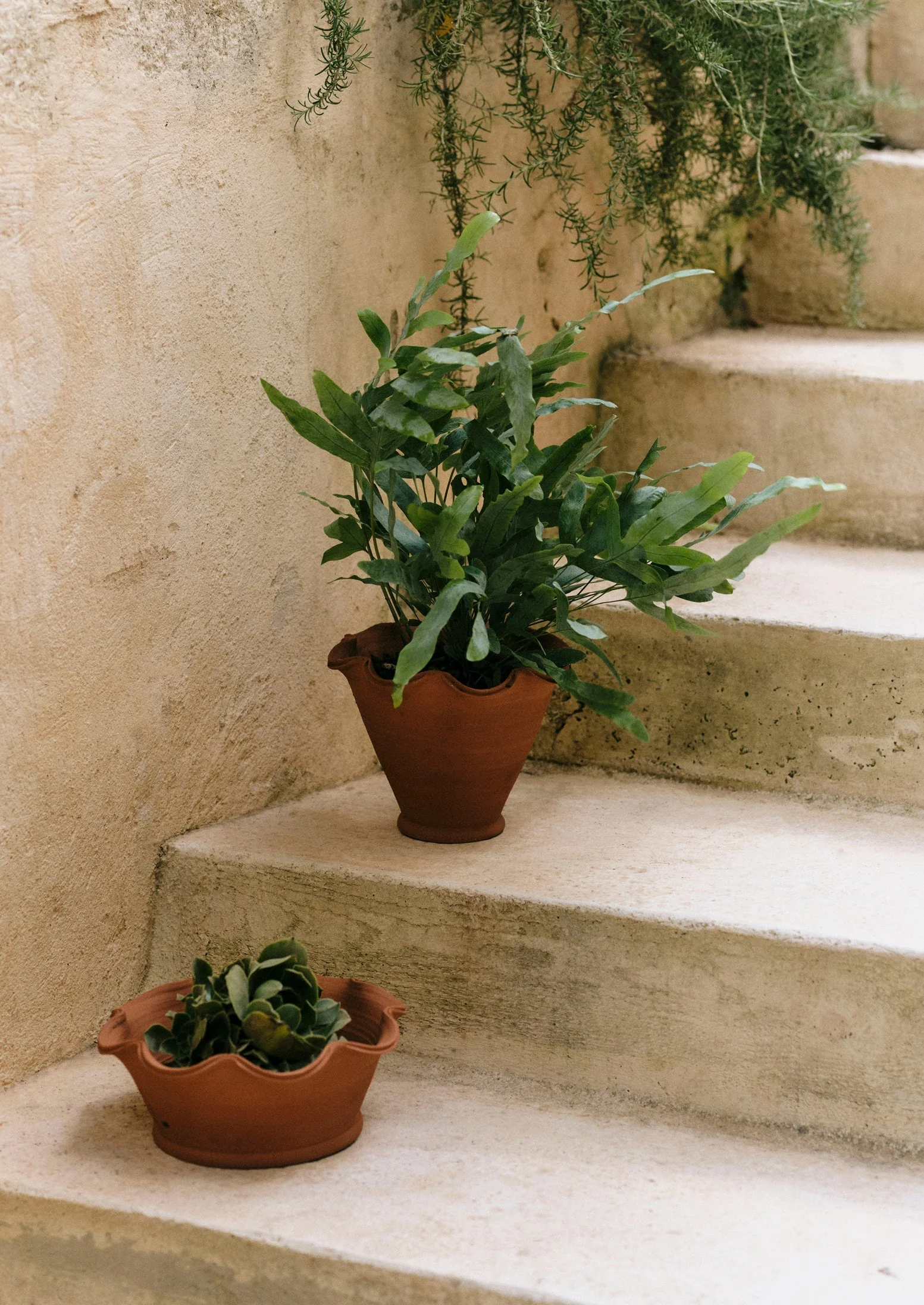 Willow Pottery Terracotta Planter | Terracotta - Image 2